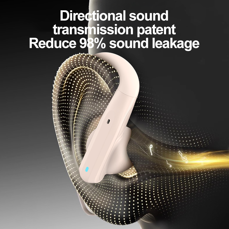 Neueste Kopfhörer TWS Dual-Mik – Earbuds Charging Case Bewertung und Preis