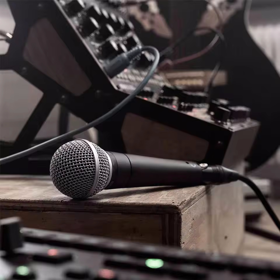 Karaoke-Dynamikmikrofon, profe – Shure Mic Sm58 Bewertung und Preis
